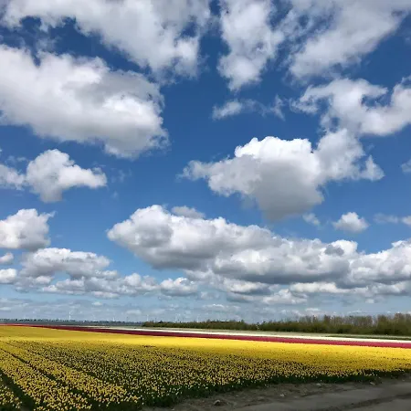 Landelijk Gelegen Houten *